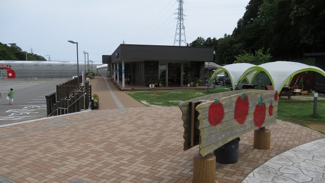 f:id:cafeee:20200914204154j:plain