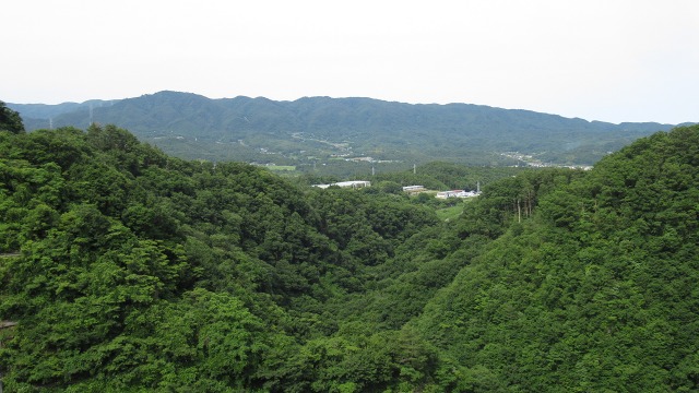 f:id:cafeee:20200915221951j:plain f:id:cafeee:20200915221951j:plain