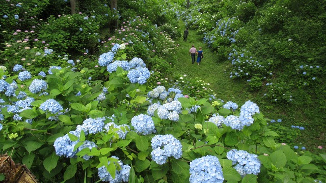 f:id:cafeee:20200916212353j:plain f:id:cafeee:20200916212353j:plain