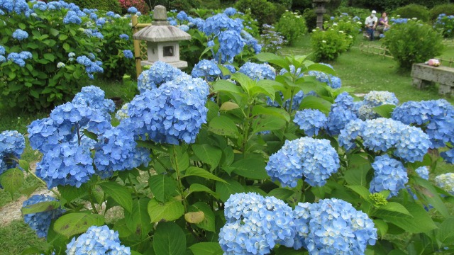 f:id:cafeee:20200916212951j:plain f:id:cafeee:20200916212951j:plain