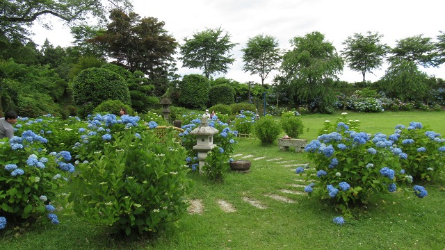 f:id:cafeee:20200916213015j:plain f:id:cafeee:20200916213015j:plain