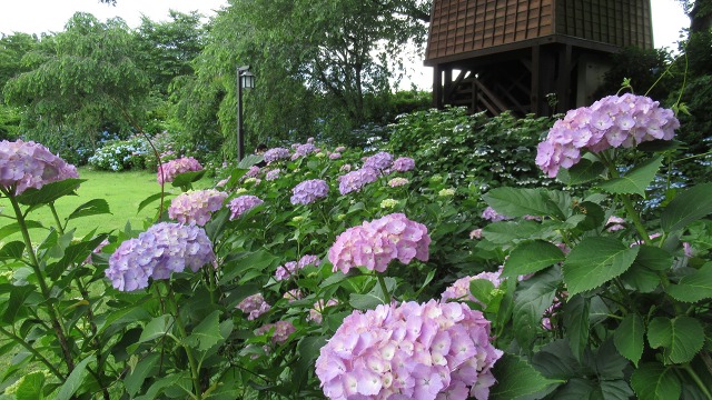 f:id:cafeee:20200916213103j:plain f:id:cafeee:20200916213103j:plain