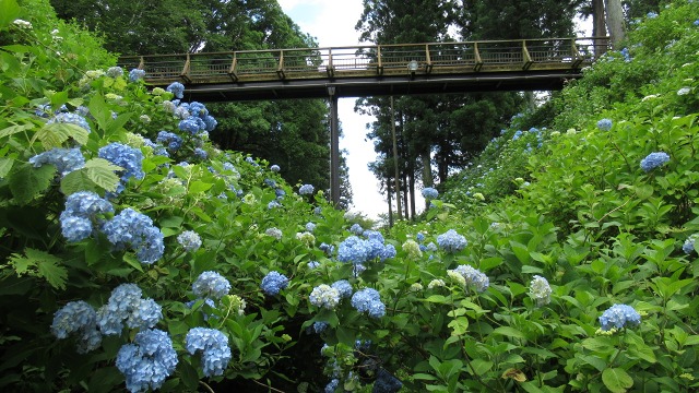 f:id:cafeee:20200916213335j:plain f:id:cafeee:20200916213335j:plain