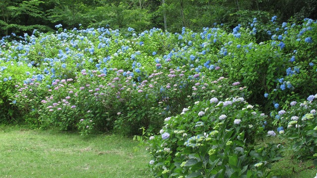 f:id:cafeee:20200916213407j:plain f:id:cafeee:20200916213407j:plain