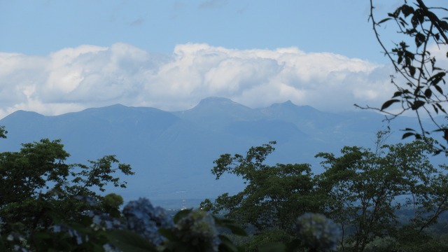 f:id:cafeee:20200916213434j:plain f:id:cafeee:20200916213434j:plain