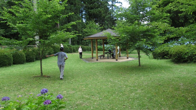 f:id:cafeee:20200916213514j:plain f:id:cafeee:20200916213514j:plain