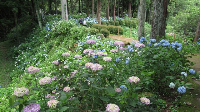f:id:cafeee:20200916213536j:plain f:id:cafeee:20200916213536j:plain