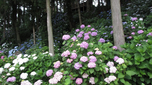 f:id:cafeee:20200918220421j:plain