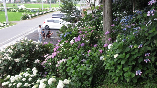 f:id:cafeee:20200918220604j:plain