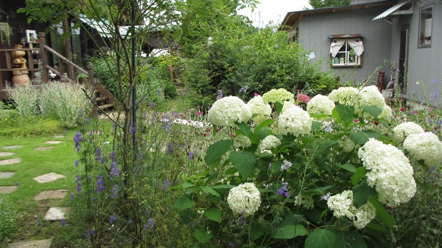 f:id:cafeee:20200919221134j:plain