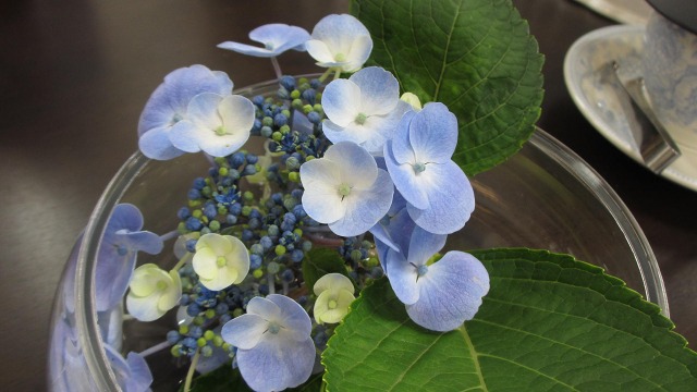 f:id:cafeee:20200924215826j:plain