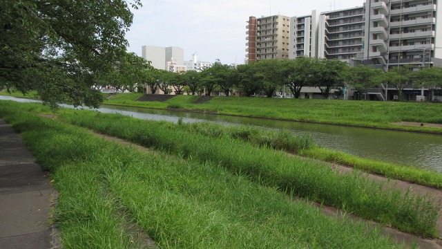 f:id:cafeee:20200929204904j:plain f:id:cafeee:20200929204904j:plain