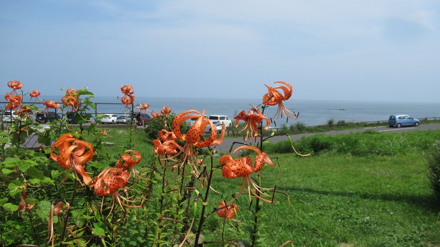f:id:cafeee:20201005224501j:plain