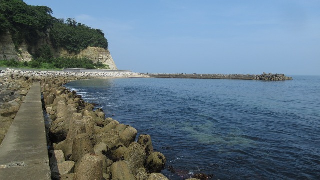 f:id:cafeee:20201005224521j:plain