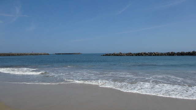 f:id:cafeee:20201006224521j:plain