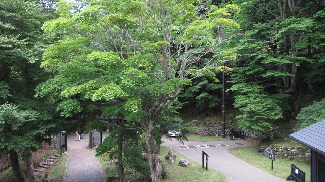 f:id:cafeee:20201013212818j:plain f:id:cafeee:20201013212818j:plain
