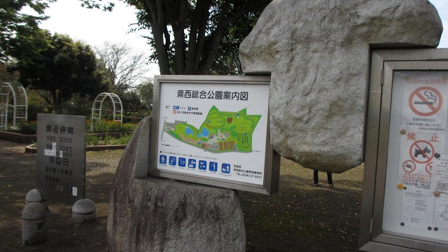 f:id:cafeee:20201021220539j:plain