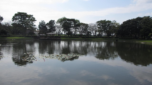 f:id:cafeee:20201021220728j:plain