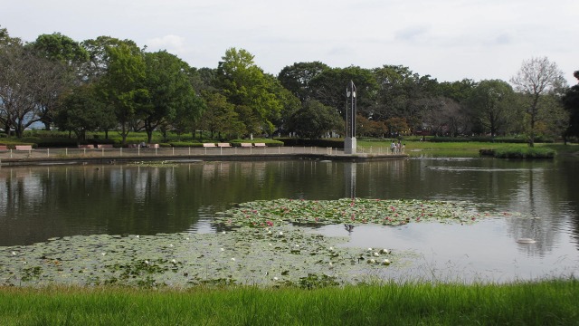 f:id:cafeee:20201021220818j:plain