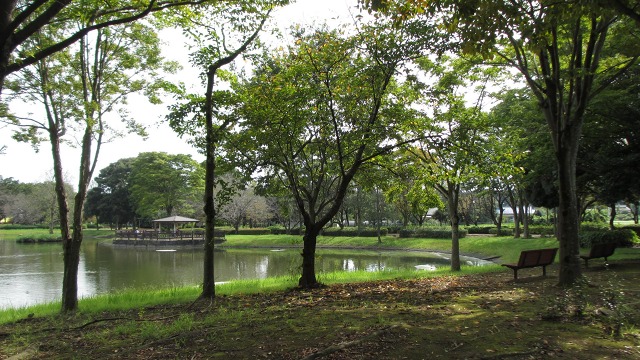 f:id:cafeee:20201021220835j:plain