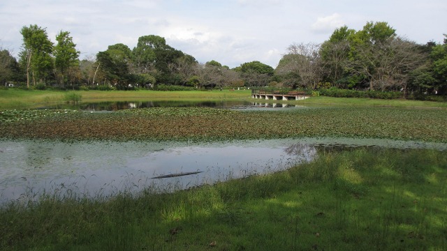 f:id:cafeee:20201021220924j:plain