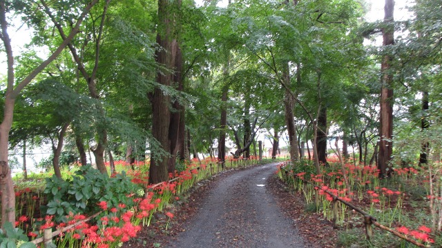 f:id:cafeee:20201024212325j:plain