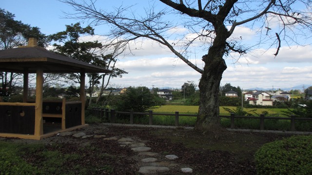 f:id:cafeee:20201031204520j:plain