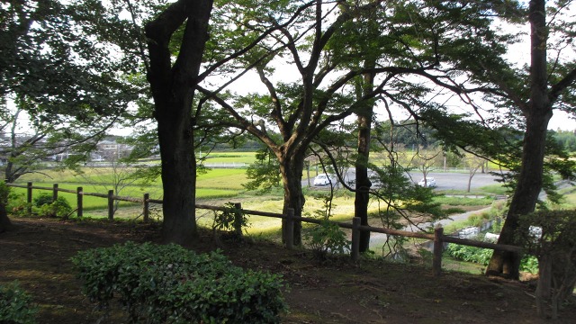 f:id:cafeee:20201031204617j:plain