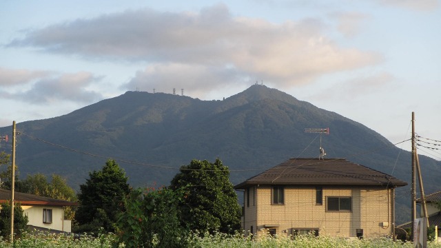 f:id:cafeee:20201031204643j:plain