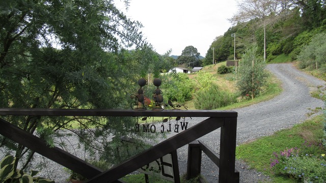 f:id:cafeee:20201101205835j:plain