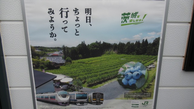f:id:cafeee:20201101210103j:plain