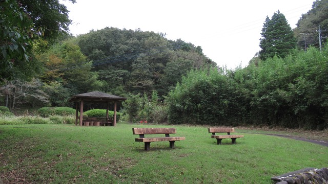 f:id:cafeee:20201101210258j:plain