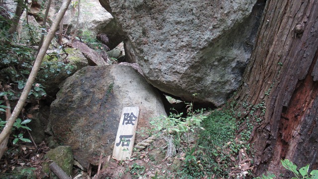 f:id:cafeee:20201101210405j:plain