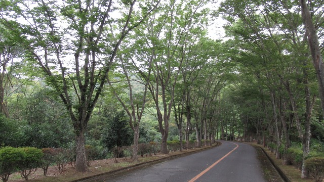 f:id:cafeee:20201101210525j:plain
