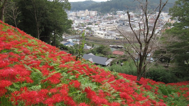 f:id:cafeee:20201103202359j:plain