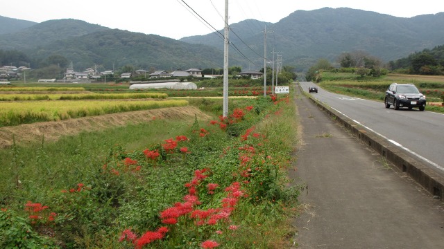 f:id:cafeee:20201105220942j:plain
