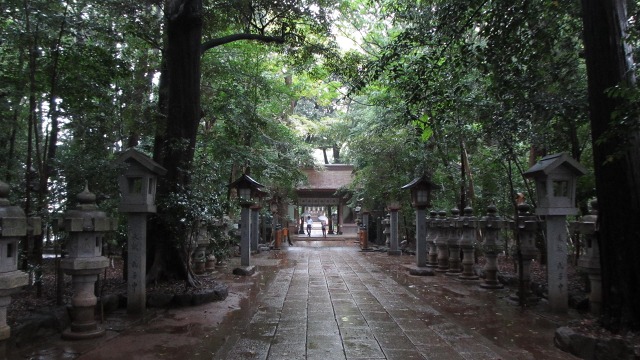f:id:cafeee:20201108210556j:plain