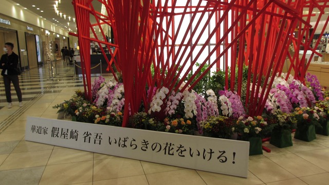 f:id:cafeee:20201112223155j:plain f:id:cafeee:20201112223155j:plain