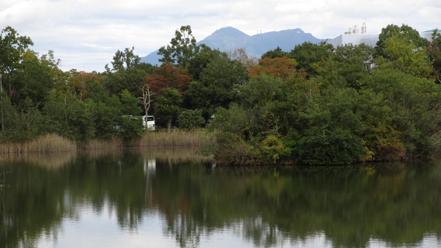 f:id:cafeee:20201115205721j:plain