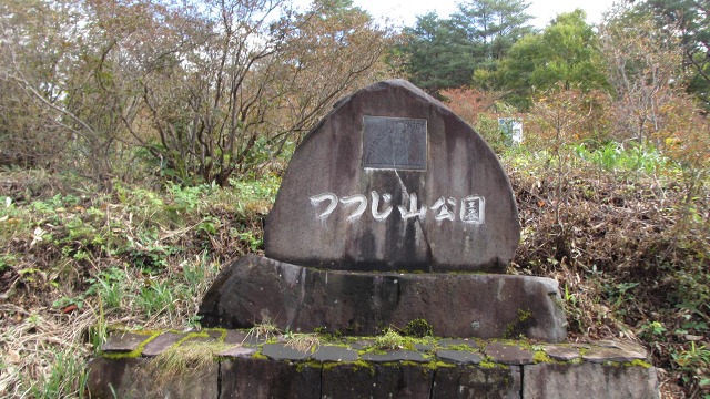 f:id:cafeee:20201117203439j:plain