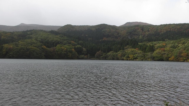f:id:cafeee:20201117203649j:plain
