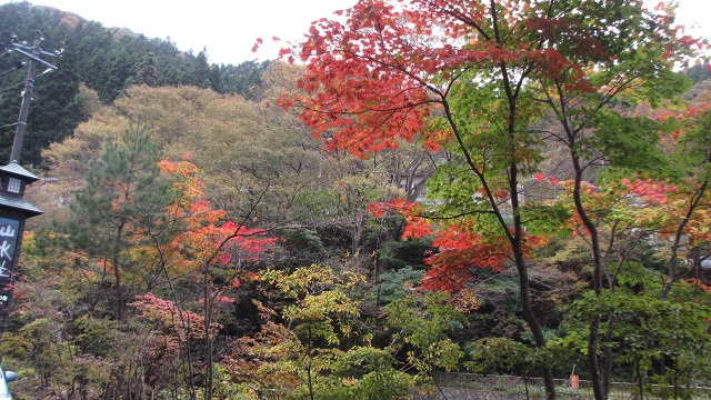 f:id:cafeee:20201118211717j:plain