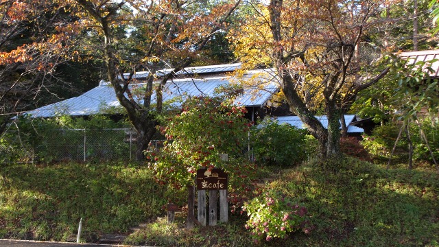 f:id:cafeee:20201120211638j:plain