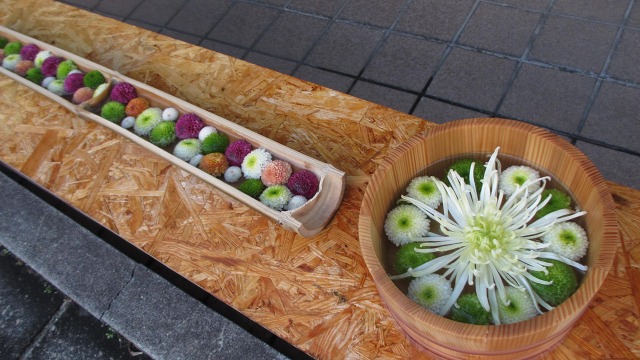 f:id:cafeee:20201122183317j:plain