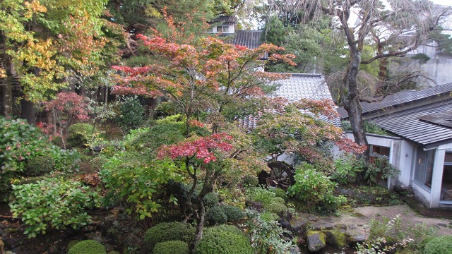 f:id:cafeee:20201123210218j:plain