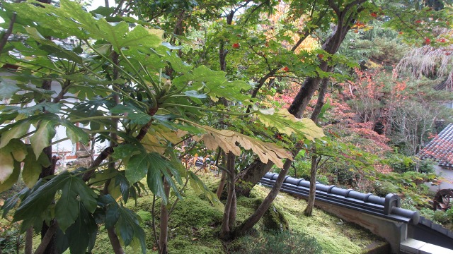 f:id:cafeee:20201123210408j:plain