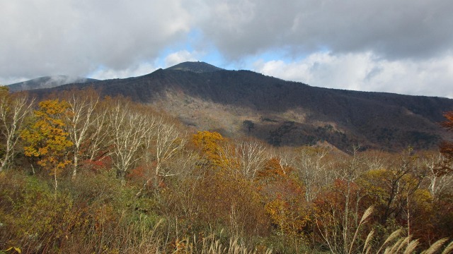 f:id:cafeee:20201124194929j:plain