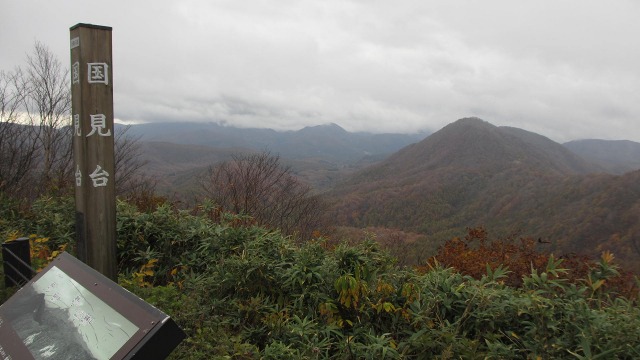 f:id:cafeee:20201124195001j:plain
