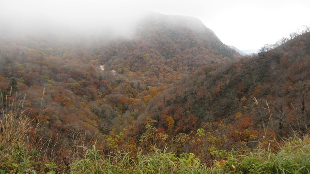 f:id:cafeee:20201124195107j:plain