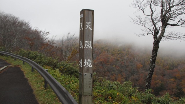 f:id:cafeee:20201124195218j:plain